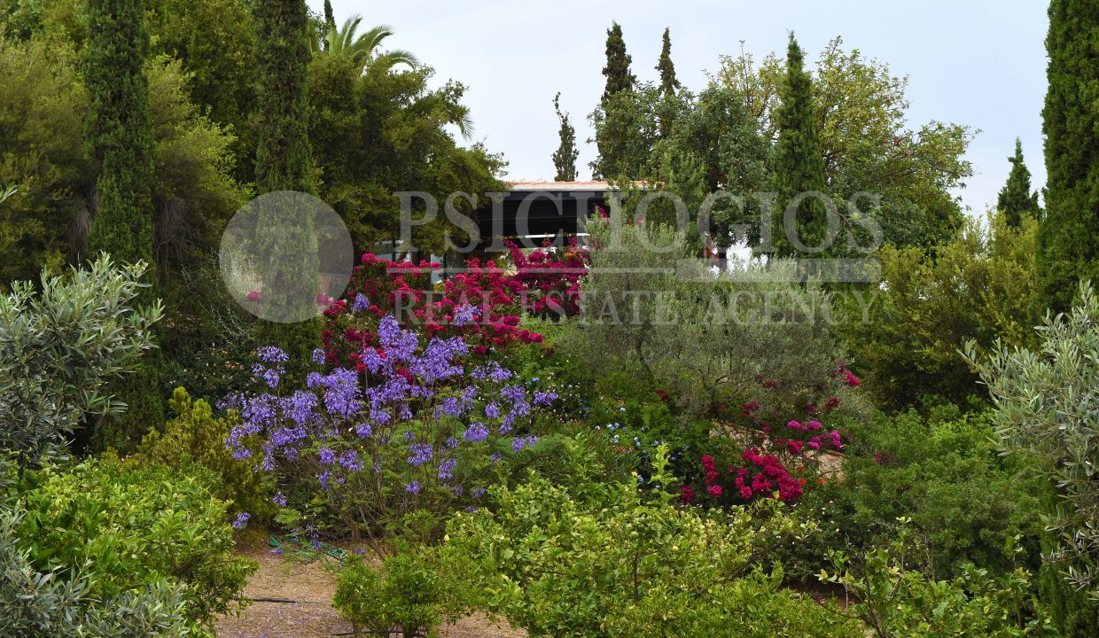 for_rent_house_600_square_meters_sea_view_porto_heli_greece (72)