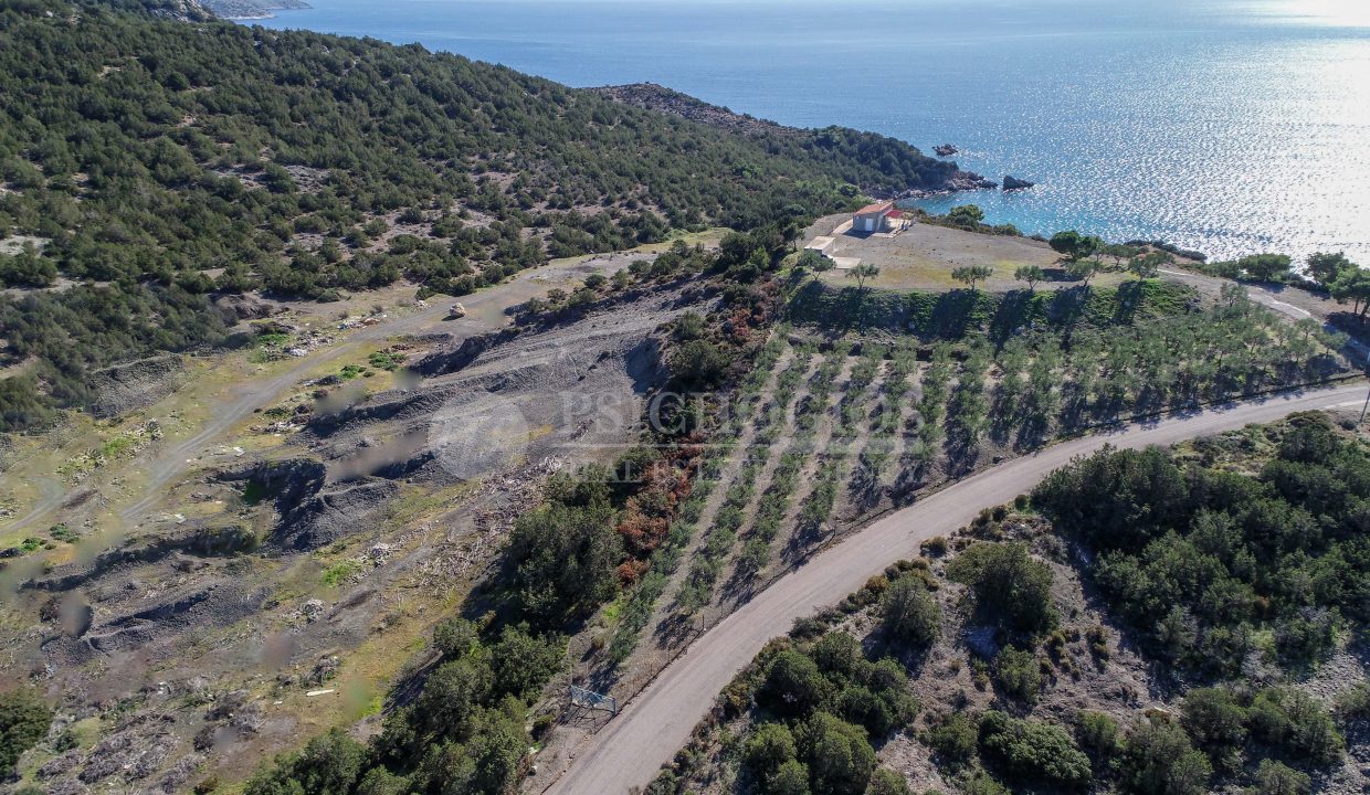 for_sale_plot_4000_square_meters_with_house_sea_view_ermioni_greece (7)