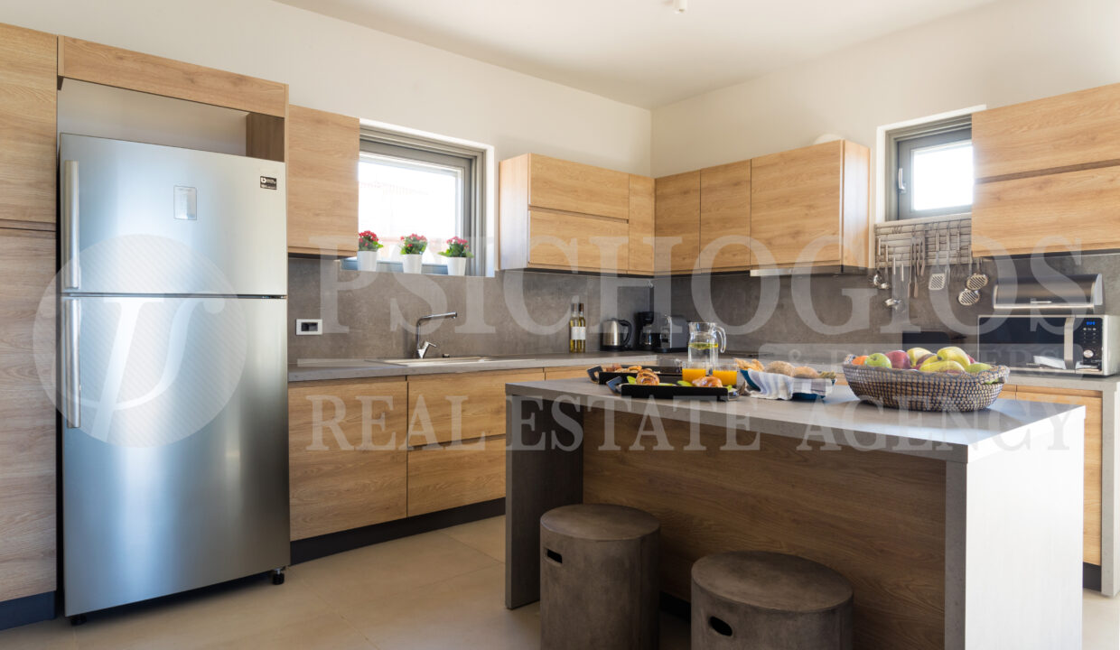 Main Level - Kitchen Area