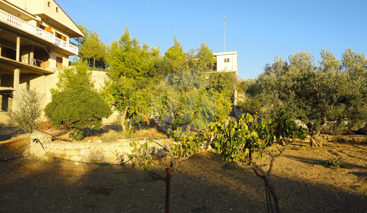 for_sale_house_120_square_meters_Agios_Amilianos (36)