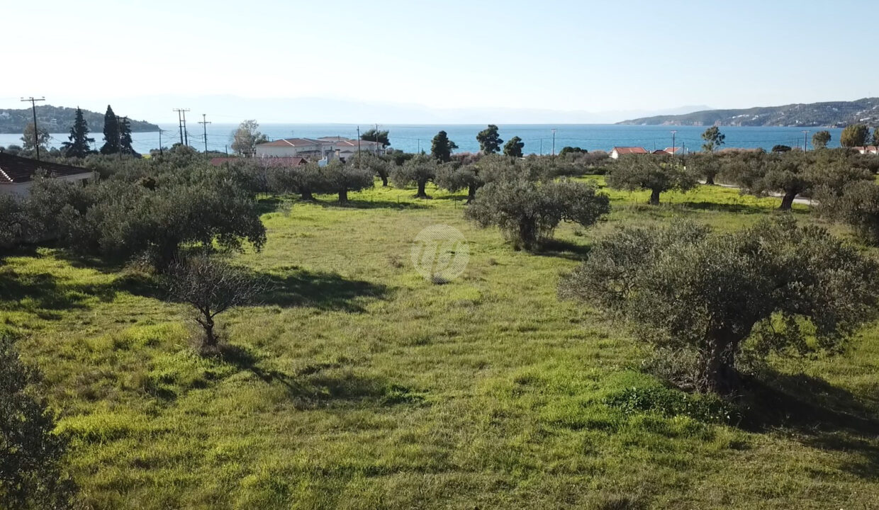 PLOT OF 4.300 SQ.M (13)