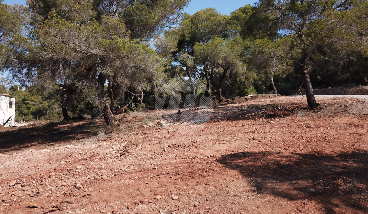 DCIM101MEDIADJI_0439.JPG