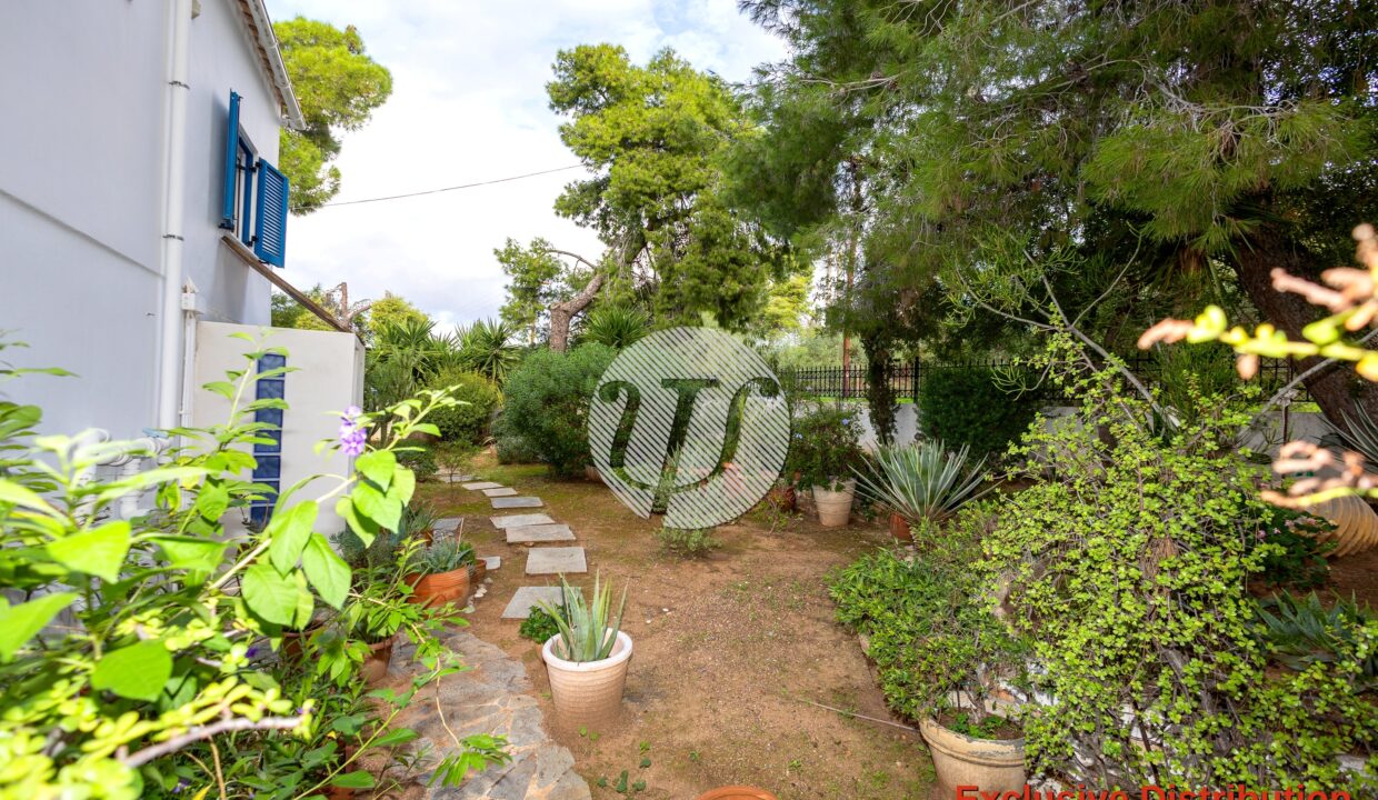 RESIDENCE 236,27 PS SQM (16)