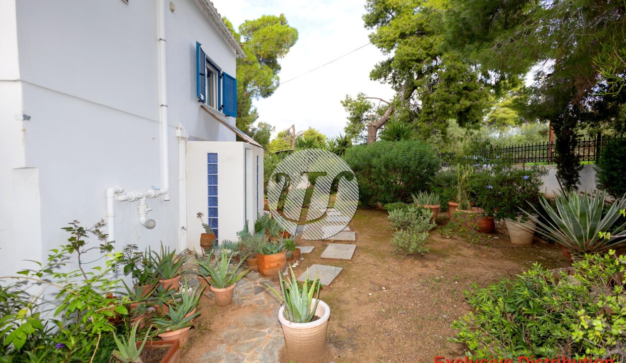 RESIDENCE 236,27 PS SQM (17)