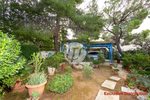 RESIDENCE 236,27 PS SQM (23)